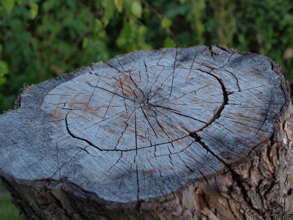 “Главное очень сильно хотеть”: рассказ о том, как парень узнавал номер телефона  девушки