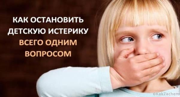 Как остановить детскую истерику всего одним вопросом