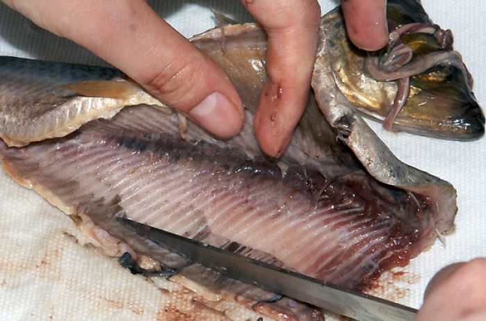 Чистка сельди без проблем