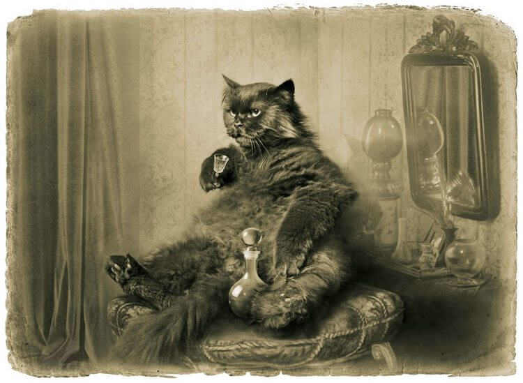 Скрытые загадки в романе М. Булгакова «Мастер и Маргарита»