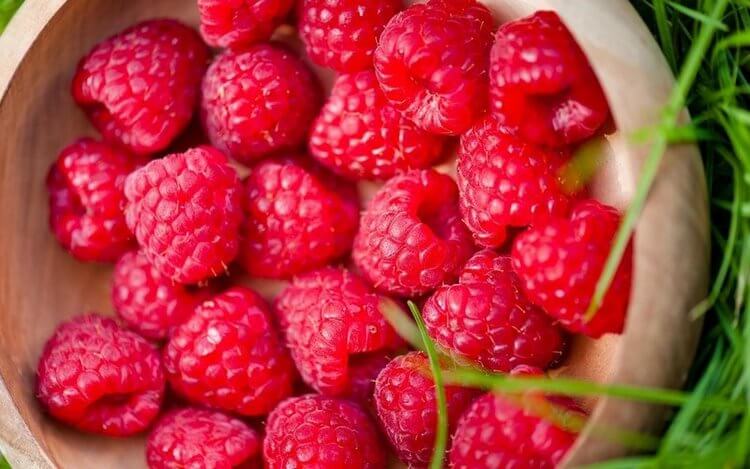 15 незаменимых продуктов для нашего организма