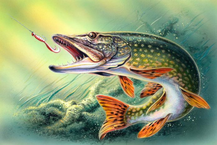 Вещи, которые дарят и воруют энергию в доме