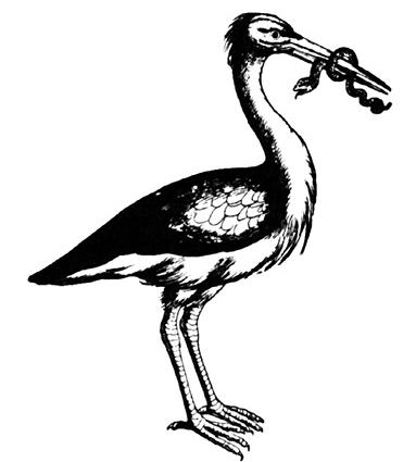 Старинный гороскоп, который соответствует вашему Дню рождению