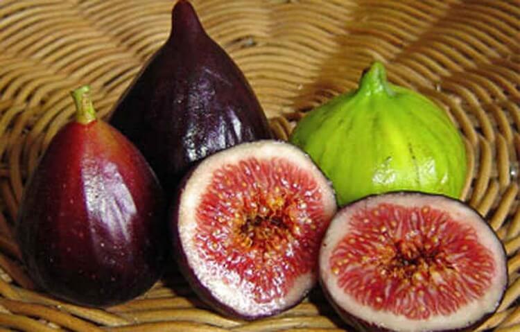 15 незаменимых продуктов для нашего организма