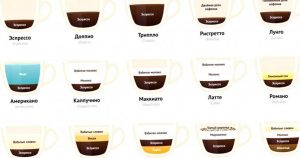 Какие есть разновидности и сорта кофе
