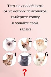Тест на скрытые способности, основанный на выборе кошки