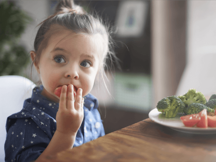 Список дел, к которым нельзя принуждать детей