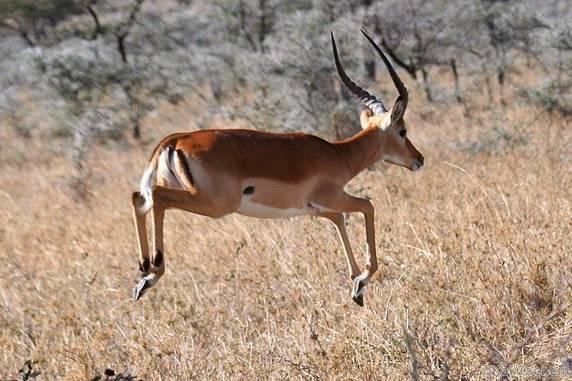 Здесь и сейчас: расшифровка ваших кошмарных снов