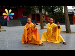 Пять секретов молодости от тибетских монахов