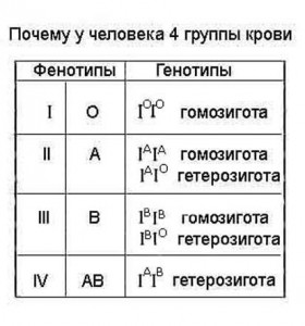 О чем может рассказать группа крови