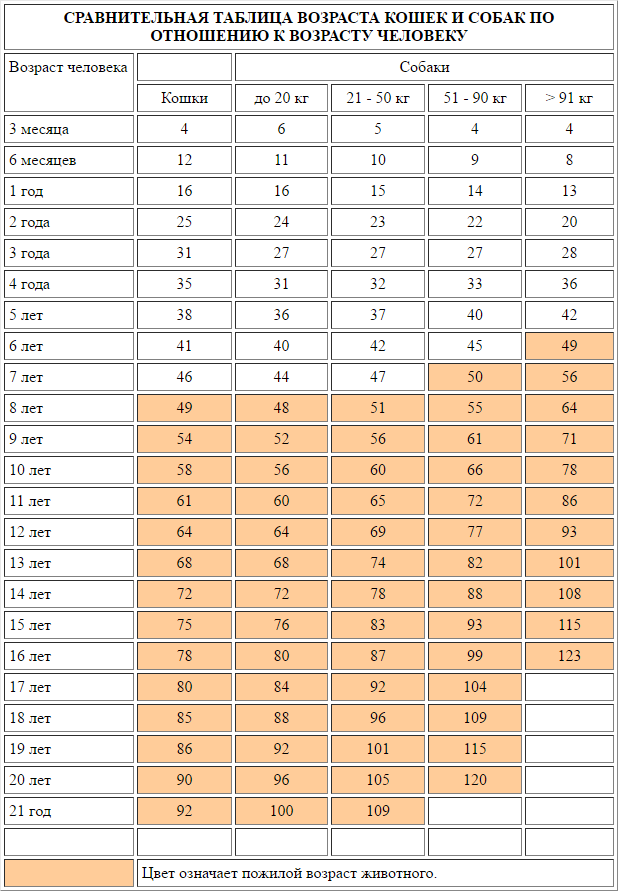 Пауло Убиратана: об образе жизни и питании