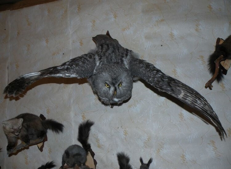 ТОП-10 вещей, которые отталкивают финансовую удачу