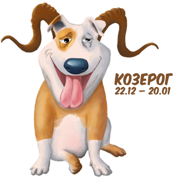 Сравнение зодиакальных знаков с хищными животными: версия для женщин