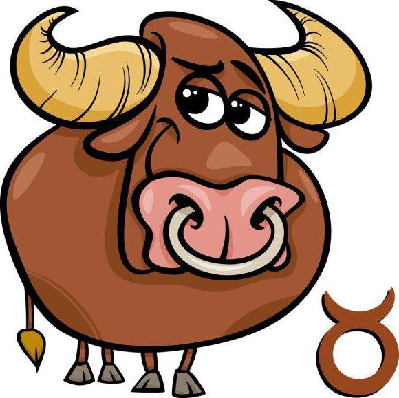 Гороскоп-шутка: состав знаков Зодиака