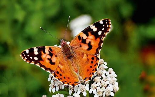 Откуда ты знаешь, что кто-то на том свете помнит тебя