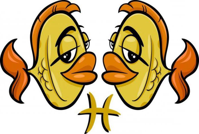 Гороскоп-шутка: состав знаков Зодиака