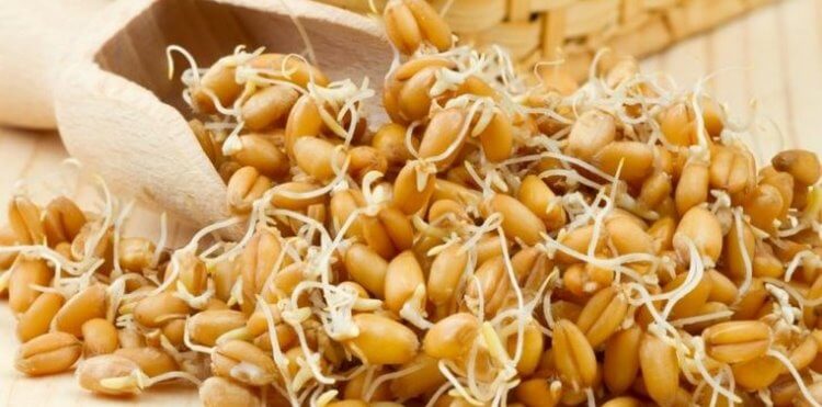 15 продуктов, которые нужно есть регулярно