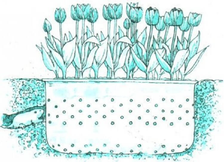 Как вы можете использовать сломанную стиральную машину – 14 интересных идей