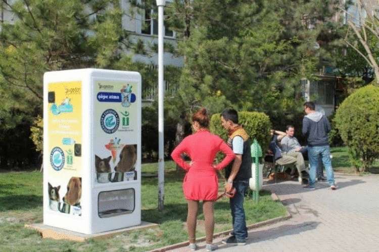 Автоматы для кормления животных в Стамбуле