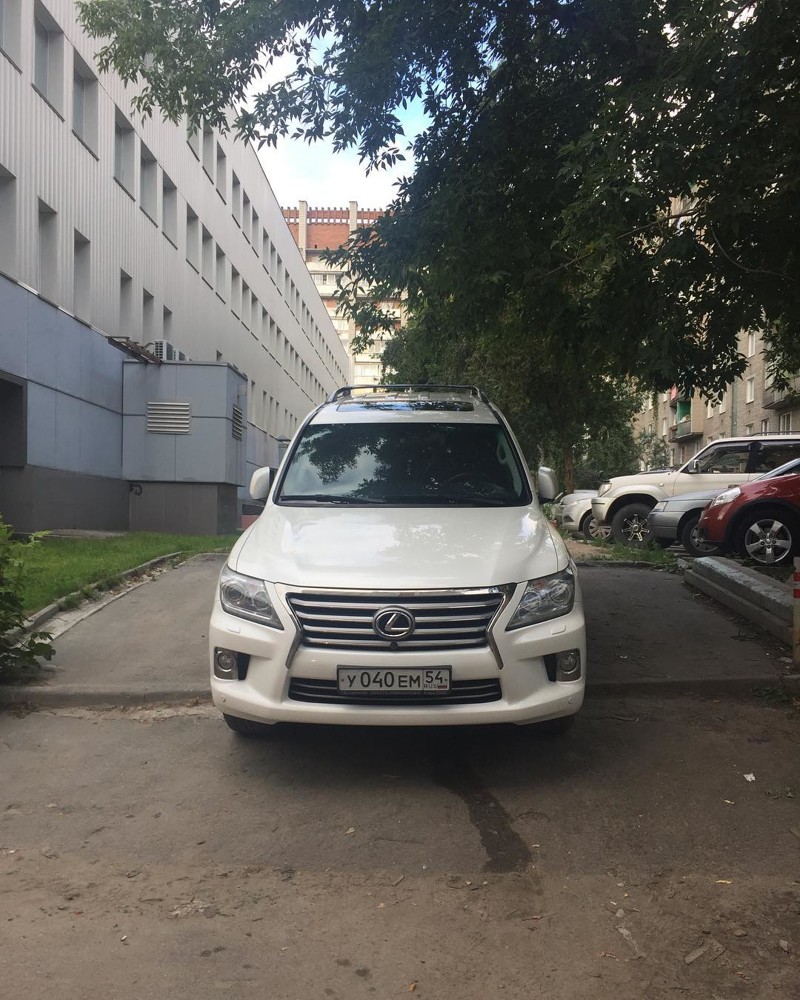 Я паркуюсь как олень