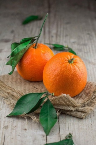 История о несчастной бабуле, которая оказалась, не так и проста