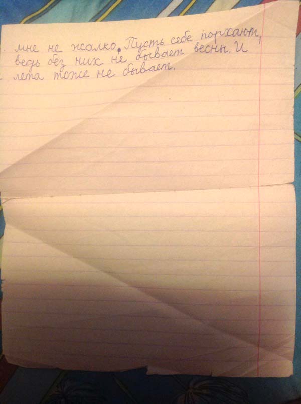 Так где же был неправ Крылов? Новая трактовка его известной басни покорила интернет