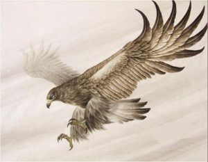 Особенности выбора пары среди орлиц