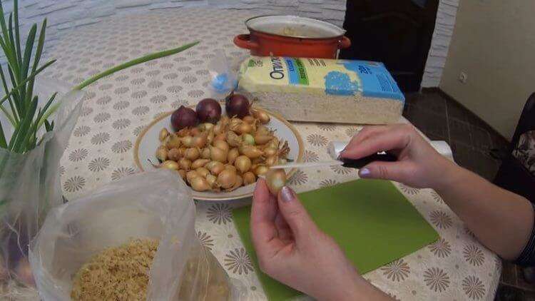 Как вырастить домашний лук