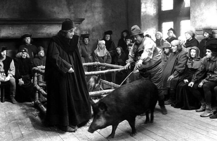 Правдоподобные фильмы об истории