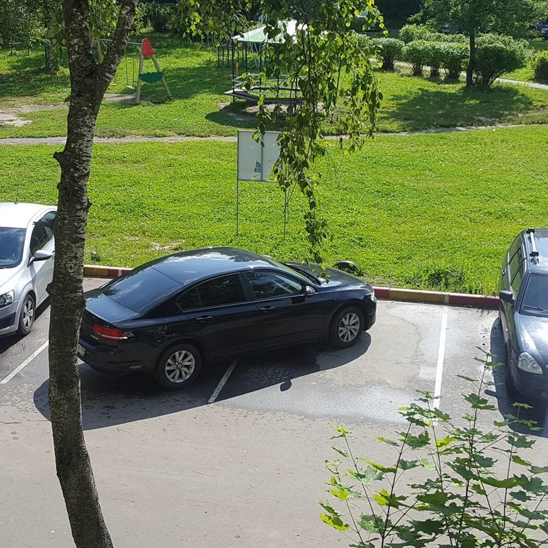 Я паркуюсь как олень