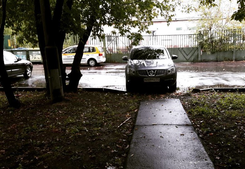 Я паркуюсь как олень