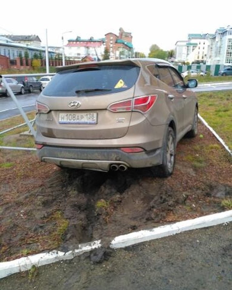 Я паркуюсь как олень