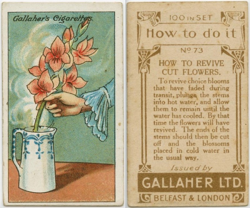 15 подсказок на каждый день, со столетней историей, которые до сих пор работают