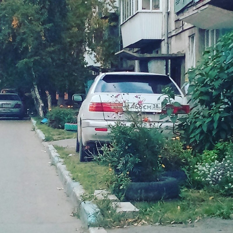 Я паркуюсь как олень