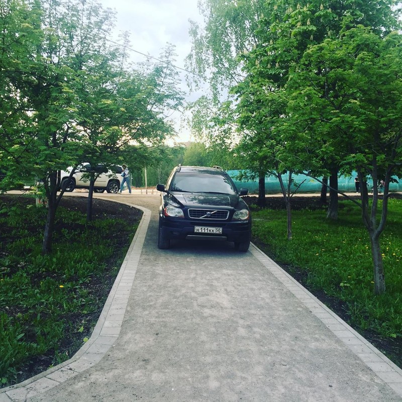 Я паркуюсь как олень