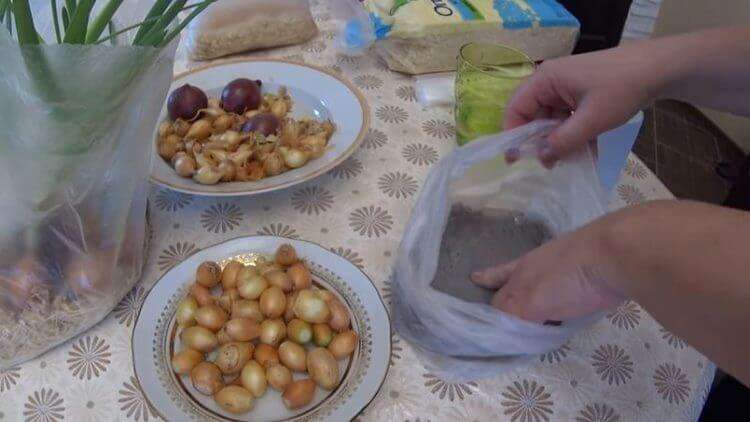 Как вырастить домашний лук