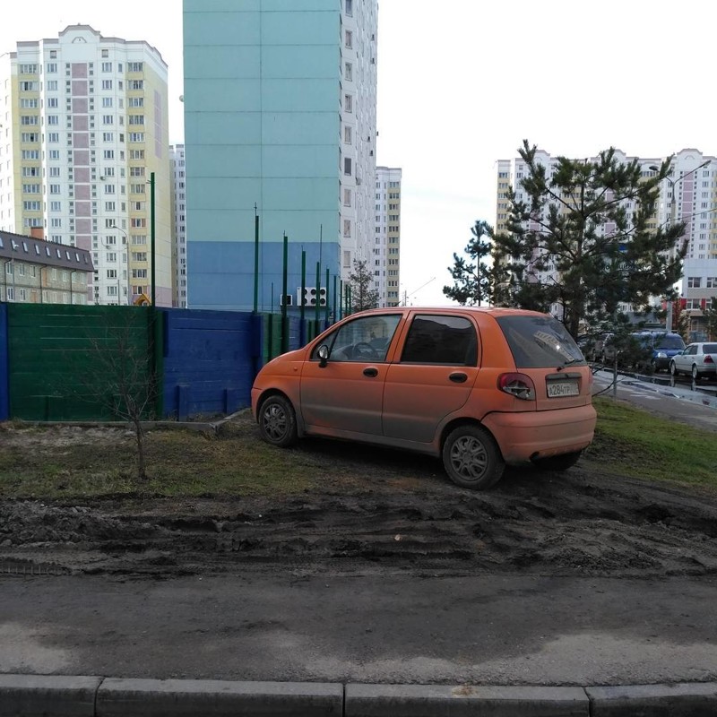 Я паркуюсь как олень