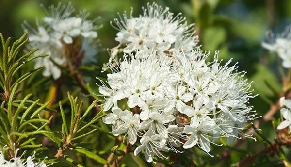 Причины онемения рук