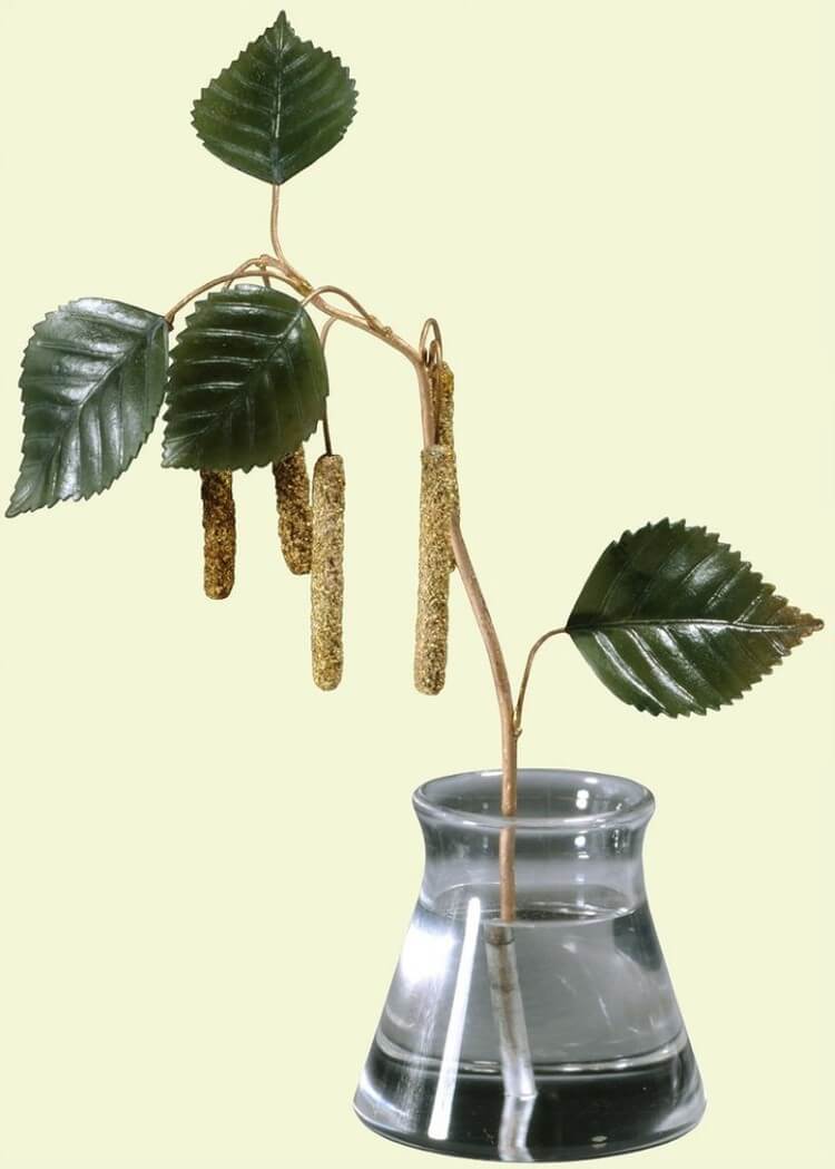 Каменные творения Фаберже