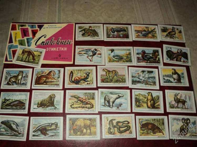 Чем занимались  дети в СССР : топ 15