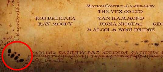 Интересные моменты Гарри Поттера, которых вы не видели