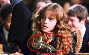 Интересные моменты Гарри Поттера, которых вы не видели