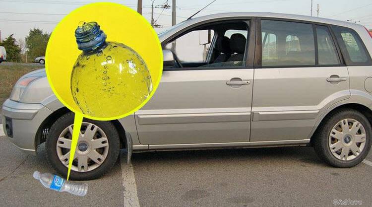 9 правил, которые упускают преподаватели в автошколах