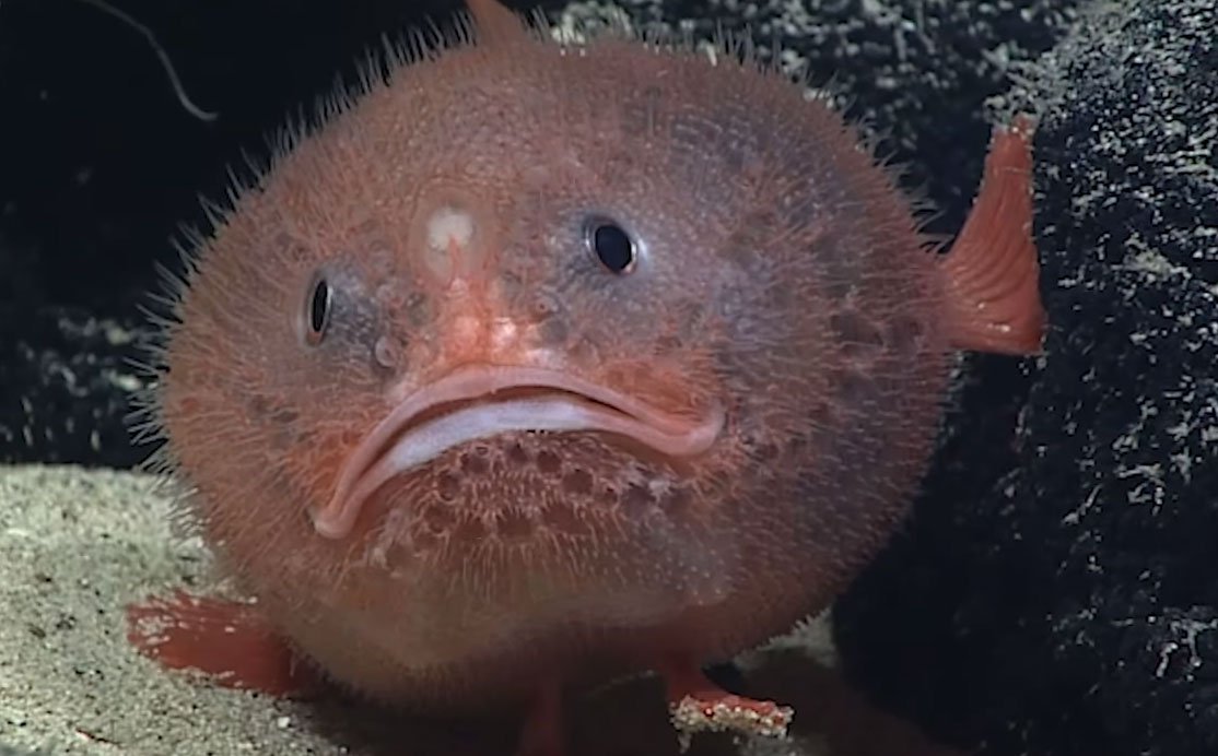 10 всегда работающих народных примет