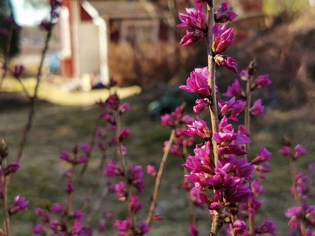 “Сам не ам и кому-то не дам”. Невестка купила дачу и никого туда не пускает