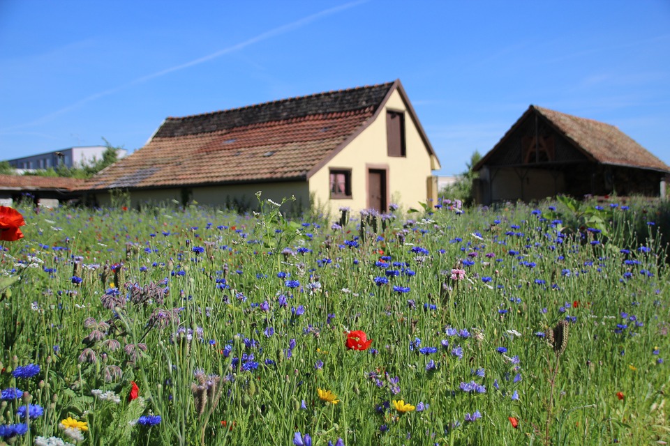 "Это родителей не выбирают! А ребёнка можно нового родить!"- не захотела дочь воспитывать, теперь её же винит во всём.