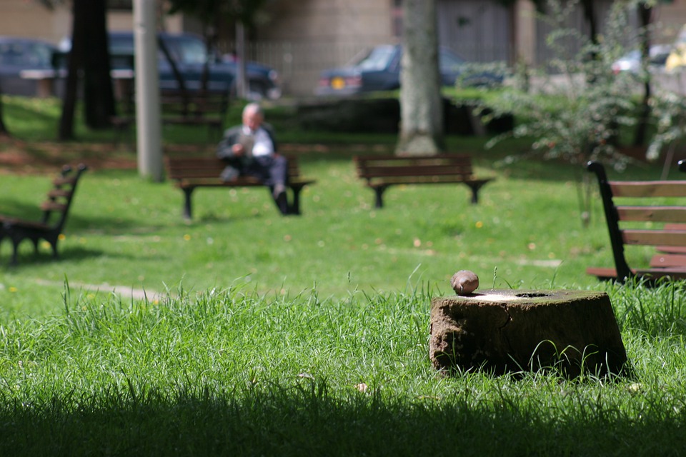 "У нас совершенно нет места, а скоро родится третий малыш."- Вырастила, вынянчила, помогала, поддерживала, а теперь стала лишней.