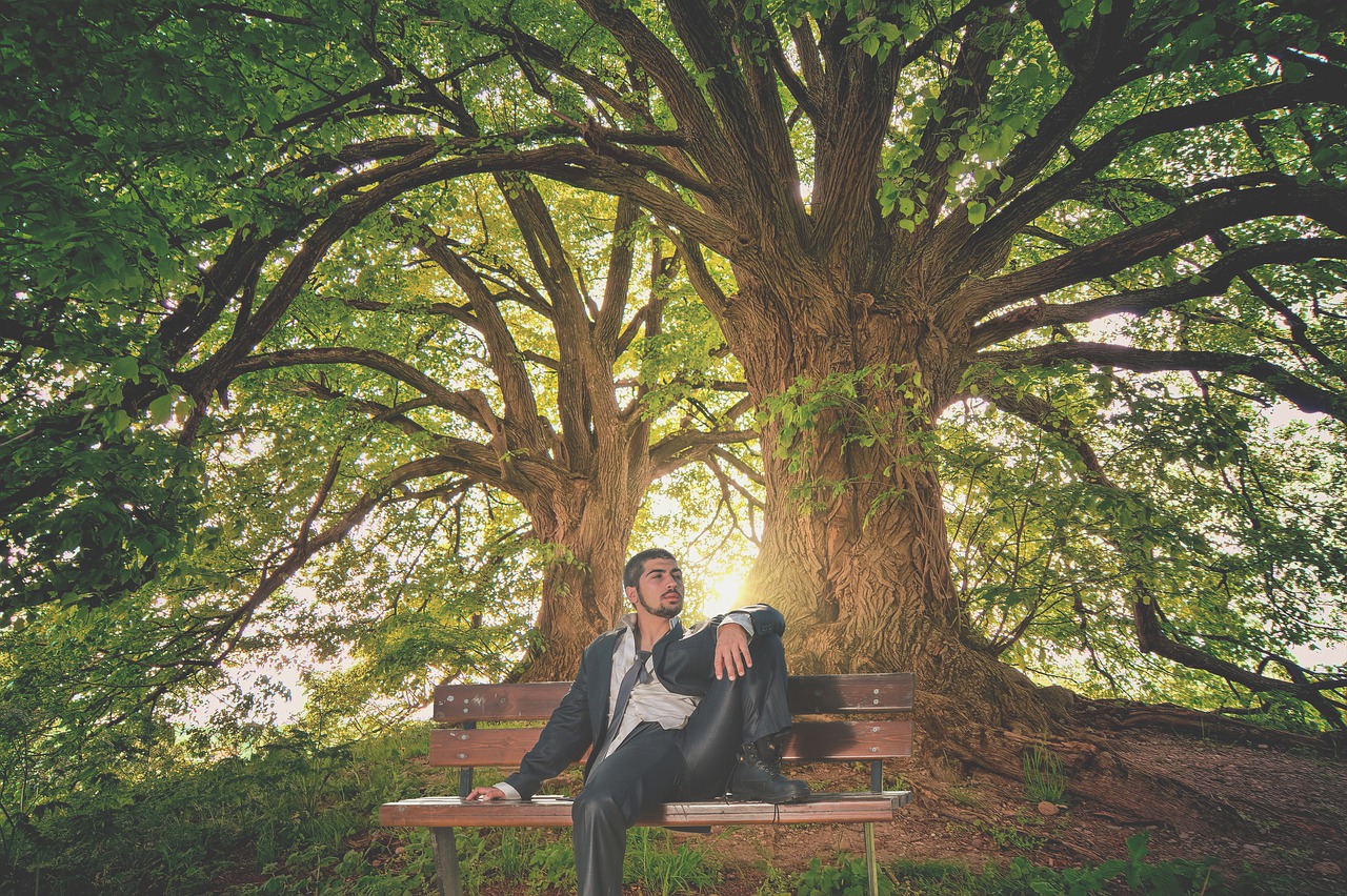 "Алиса взяла на работу сына бывшего мужа. Спустя 2 месяца со счетов фирмы пропали все деньги "