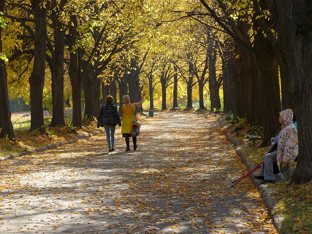 Бабушки тоже люди. С внуками сидеть не обязаны