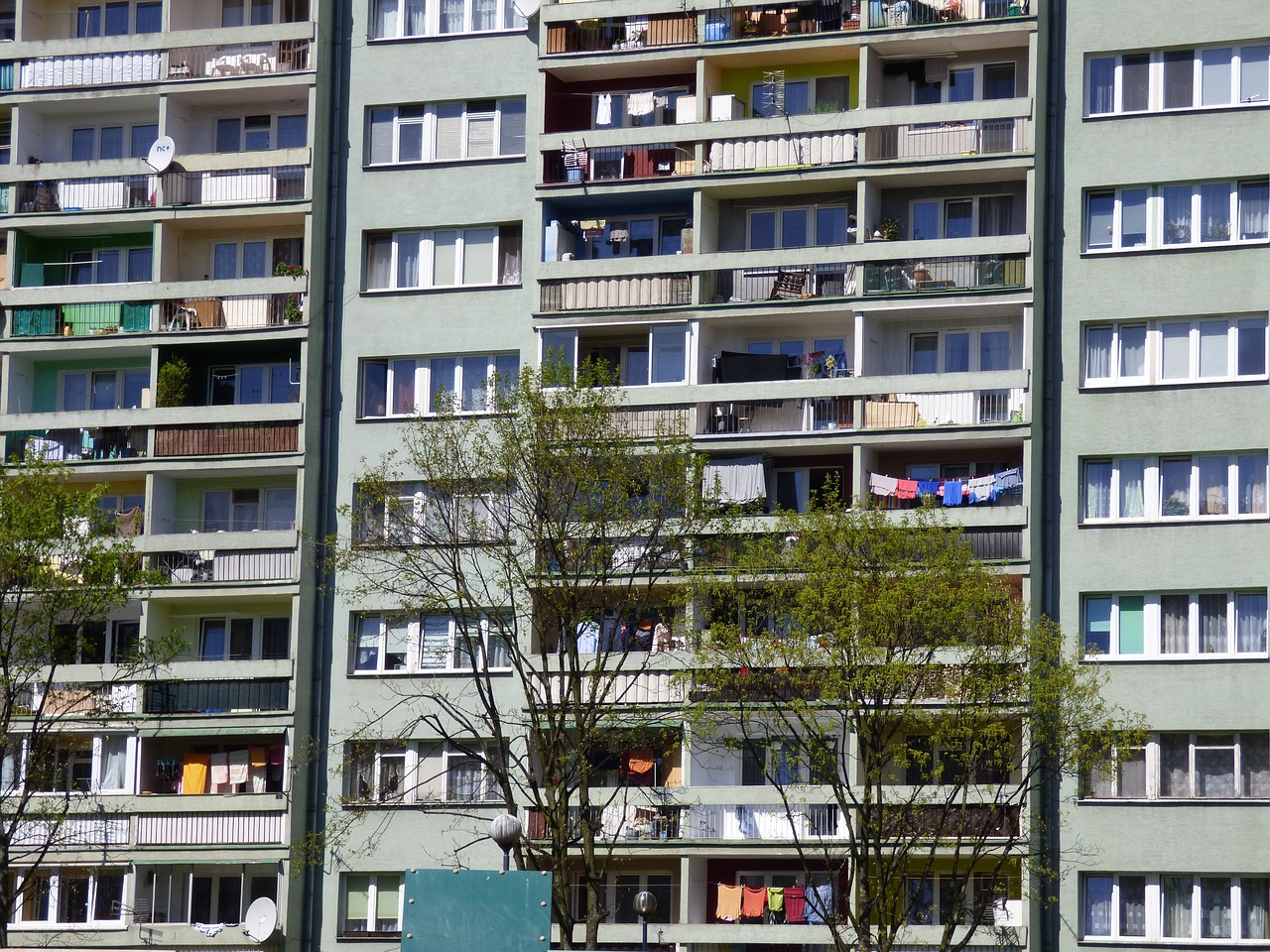 — Я решила оставить квартиру своему старшему внуку, так как он растет без отца, — заявила свекровь